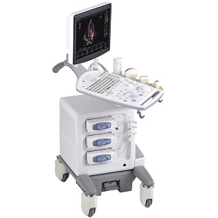 Hitachi F31 