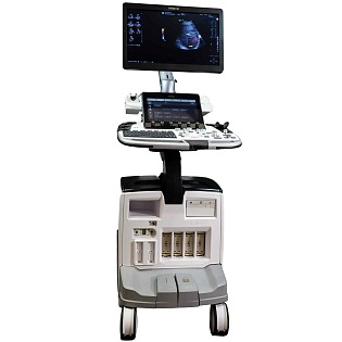 GE Logiq E10 
