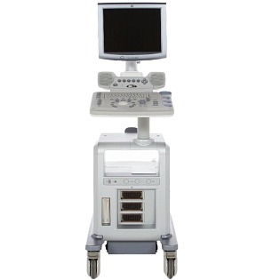 GE Logiq P5 